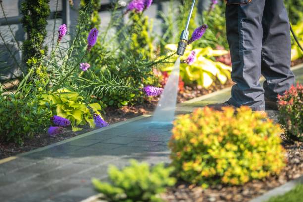 Best Dumpster Area Cleaning  in Cliffside Park, NJ